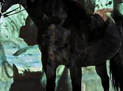 Milf Loira Latina Fode Jovem Garanhão 18+