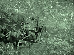 Quali peccati hanno commesso le nostre bisnonne? Lanterna oscura rivela confessioni erotiche di scopate con fiche pelose ai tempi vittoriani.