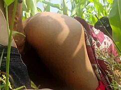 เมียชาวบ้านอินเดียแอบนอกบ้านกับแฟนเก่า!