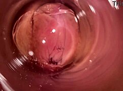 Interní kamera zachycuje těsnou krémovou kundičku s ptáky v divoké POV akci