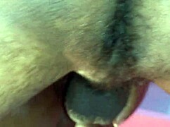 Interraciale biseksuele trio met Hanif, Popy Khatun, Sumona en Manik Mia. Close-up deepthroat actie opgenomen