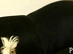 Destiny 18+ Jaymes tvrdě cucá v mokré malé POV akci