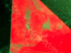 Hey! Busty Latina Yamileth Ramirez Teen Seduces Doctor with Her Tight Body!