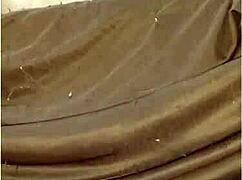 Crown устроила дикий секс на диване... шерсть везде!