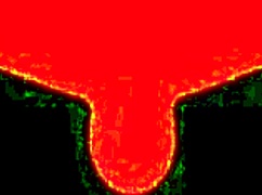 Geisha japonaise attachée serré et jouée dans une action de groupe sauvage