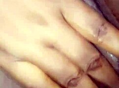 Seu Pau Pode Competir com Meu Pepino para Satisfação Molhada e Apertada?