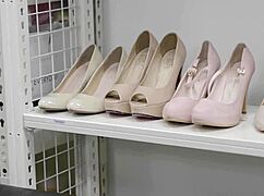 压迫司机2019：最新亚洲发布