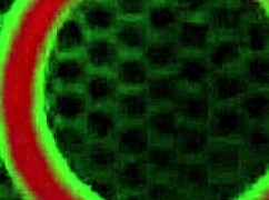 UK Sophie Dee és US csaj Austin Taylor ütközik straponnal fehérneműben