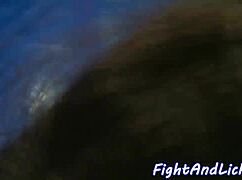 Täyteläispiirteiset lesbot painivat ja nuolevat