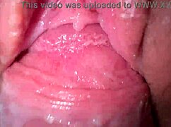 Foda Rápida de Perto com Buceta Cremosa da Enteada Adolescente