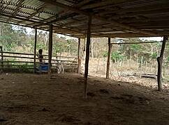 Stepmom janda cek ladang suaminya yang meninggal. Dia goda stepson ke pertemuan liar!