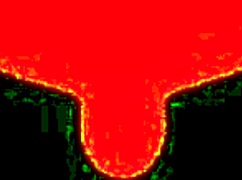 Hej babica, pripravljena si na moj velik kurac globoko v tvojem temnem brazilskem ritu?