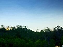 Velike joške najstnice 18+ divje pofukane na prostem v vroči bližnjici. Jaha ga pod odprtim nebom!