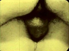 Retro titkok a vintage mostohaanyákról leleplezve