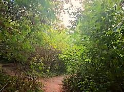 Prosím, nepřestávej, stříkej dovnitř teď