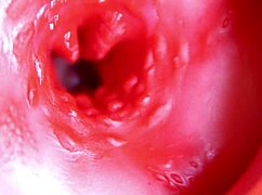 KONTOL Merah Besar Masuk Lubang Basah Siap Meledak Sperma