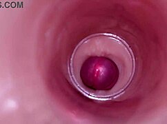 女性受精被内部摄像头捕捉，深层男性射精在紧致湿润阴部