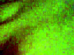 Young girl cuckolds boyfriend with Tony Tigrao