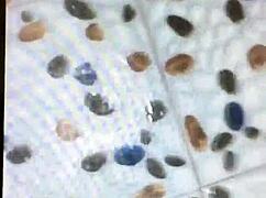 Exploring Gay Culture And Lifestyle