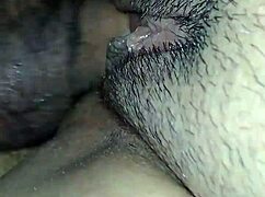 wild pussy fucking session