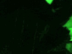 Outdoor adventure in nature