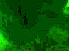 Is my wife into anal toys and dildos?