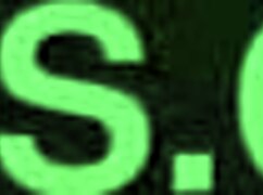 The master masturbates his cock