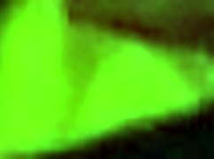 The master masturbates his cock