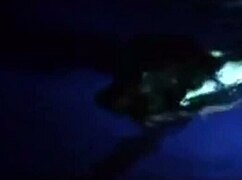 no hassle night with sexy bikini girl