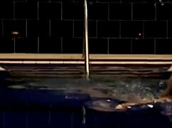 no hassle night with sexy bikini girl