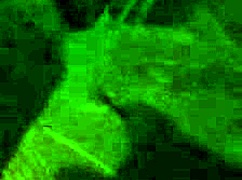 The master masturbates his cock