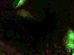 Love Making Him Feel Good