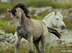 Tell me a secret that makes me very wet, latina brunette big ass small 18+ tits neighbors masturbation amateurs girl next door tits.