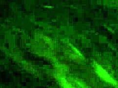 i gave the best blowjob and got a mouthful of cum in my mouth, cumshot all over