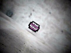 Young babe enjoys hard cock taste