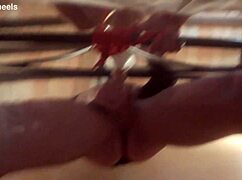 i'm tied up sucking laura's big cock with lots of drooling.