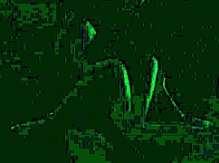 i love carrie b's small tits in blacklight sex, left 2