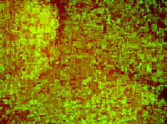 Chelsea Performs Solo.