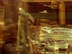 Lesbians relax in mill