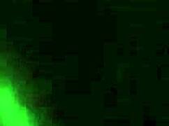 Sucking Closeted Friend's Cock In Interracial Encounter