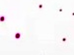 real petite gf britt blair rides for a warm creampie