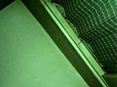 Long Stroking Big Cock In Bitch's Ass