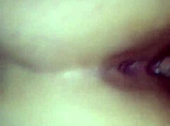 girlfriend sucking my dick in a casual moment