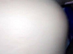 zumpango bello in colombia