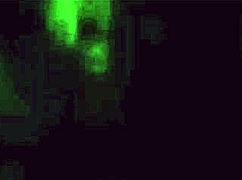 ten petits vicieux grope and play