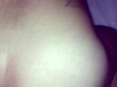 São joão festival celebrates brazilian traditions with amateurs