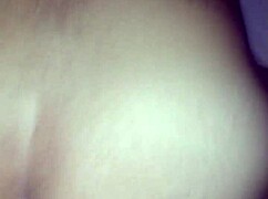 São joão festival celebrates brazilian traditions with amateurs