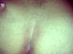 São joão festival celebrates brazilian traditions with amateurs