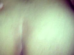 São joão festival celebrates brazilian traditions with amateurs