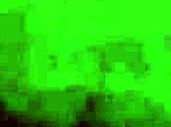 i accidentally shared my amateur argentinian video